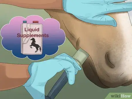 Image titled Give Your Horse the Right Supplements Step 22