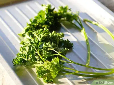 Image titled Dry Parsley Step 14
