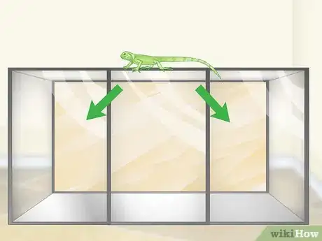 Image titled Care for a Green Iguana Hatchling Step 1