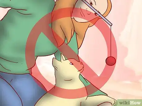Image titled Choose Toys for a Senior Cat Step 2