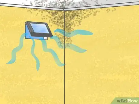 Image titled Remove Mildew from Sheetrock Step 4