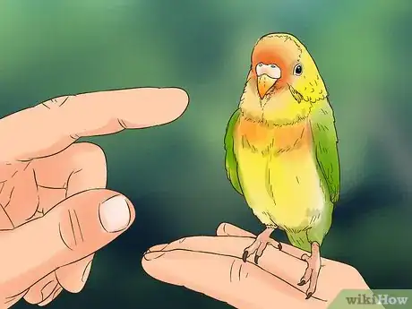 Image titled Treat Lovebirds with Psittacine Beak and Feather Disease Step 12