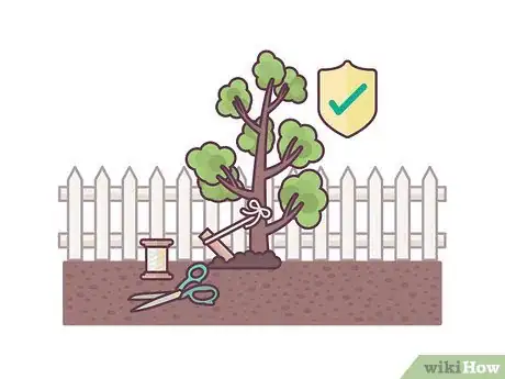 Image titled Stake an Apple Tree Step 4