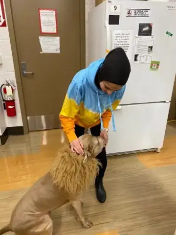 Image titled Neda Pet 1