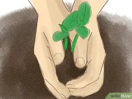 Image titled Start a Vegetable Garden Step 13