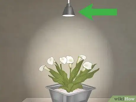 Image titled Decorate a Niche Step 9