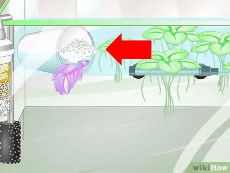 Image titled Provide a Protective Breeding Environment for Betta Fish Step 12