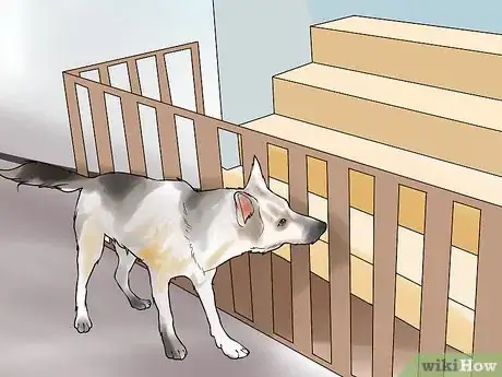 Image titled Protect Pets from Urban Dangers Step 2