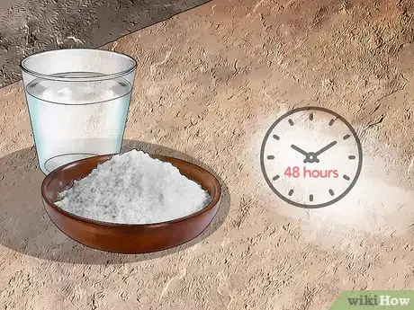 Image titled Remove Limestone Stains Step 4