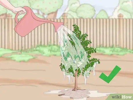 Image titled Plant Guanabana Seeds Step 18