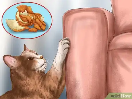 Image titled Reprimand a Pet Step 12