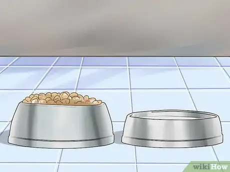 Image titled Care for an Affenpinscher Step 6