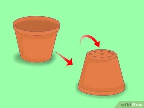 Image titled Plant a Lemon Seed Step 2