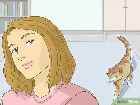 Image titled Help a Cat with Anxiety Step 5