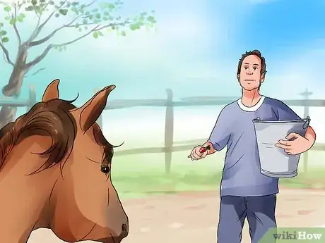 Image titled Be Comfortable Around a Bad‐Tempered Horse Step 10