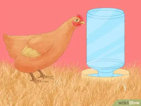Image titled Keep Chickens from Eating Their Own Eggs Step 7