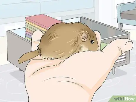 Image titled Choose a Gerbil Breed Step 2