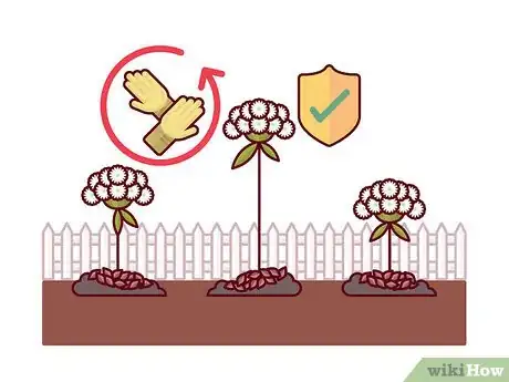 Image titled Grow Toothpick Weed Step 7