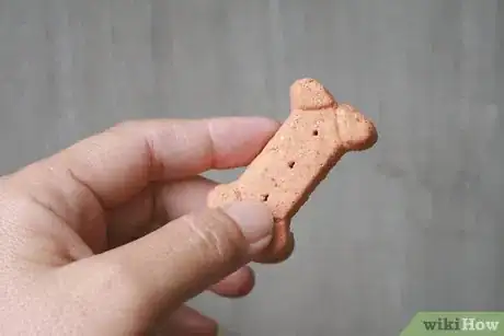 Image titled Get Your Dog to Stop Playing Fetch With You Step 7