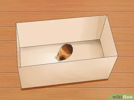 Image titled Toilet Train a Hamster Step 6