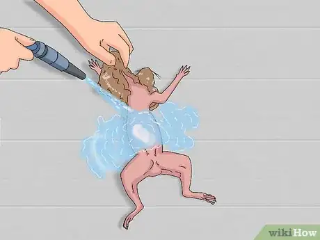 Image titled Skin a Squirrel Step 2