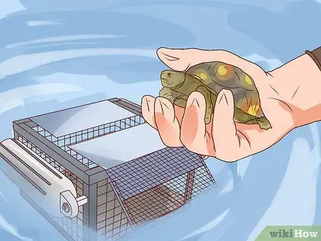Image titled Catch Water Turtles Step 7