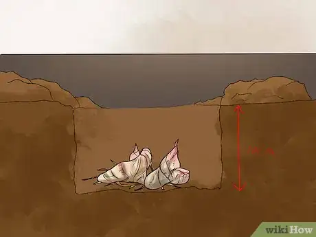 Image titled Grow Cannas Step 19