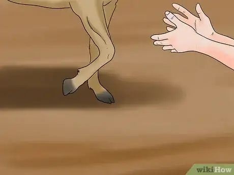 Image titled Load a Frightened Horse Into a Horse Trailer Step 15