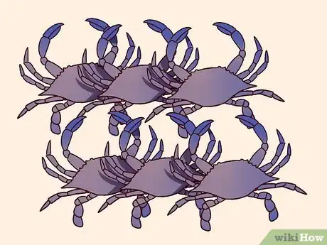 Image titled Eat a Maryland Blue Crab Step 2