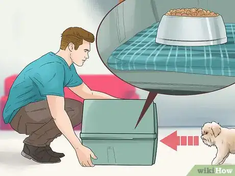 Image titled Care for an Affenpinscher Step 4