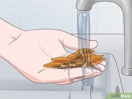 Image titled Plant Date Seeds Step 2