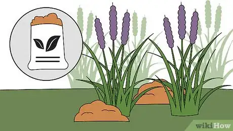 Image titled Plant Monkey Grass Step 12