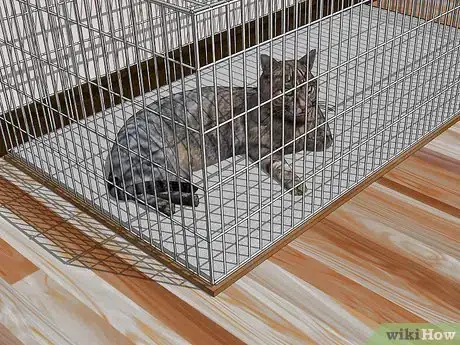 Image titled Get Rid of Bed Bugs Step 3