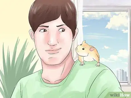 Image titled Train Your Hamster Step 9