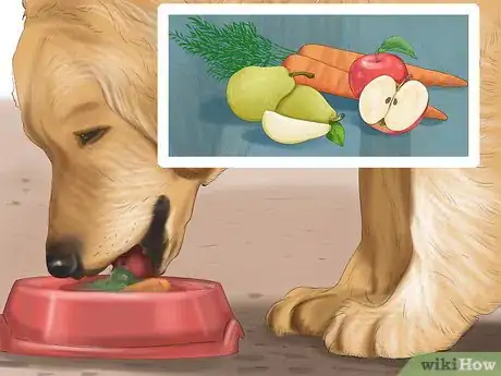 Image titled Feed Your Senior Dog a Healthy Diet Step 11