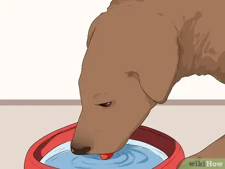 Image titled Ensure Passive Immunity in Newborn Puppies Step 7