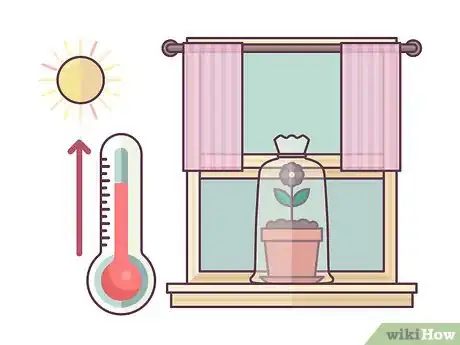 Image titled Repot African Violets Step 22