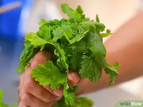 Image titled Freeze Herbs Step 2