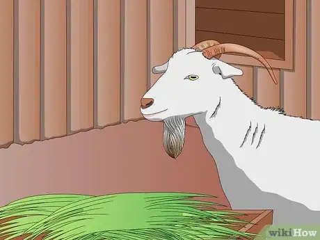 Image titled Use Water to Reduce Dust in Hay Step 3