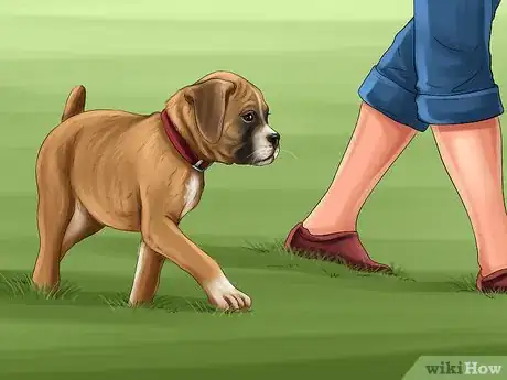 Image titled Introduce Training to a New Puppy Step 7