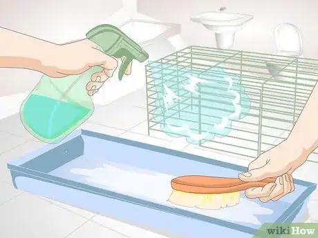 Image titled Clean a Long Haired Hamster Step 10
