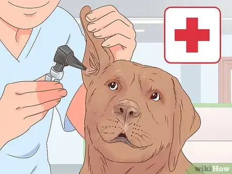 Image titled Travel with Dogs Step 1