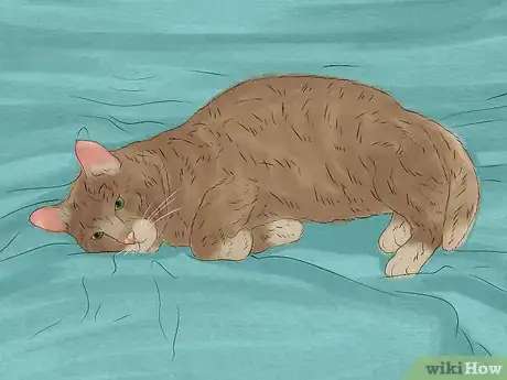 Image titled Give Tricyclic Antidepressants to a Cat Step 17