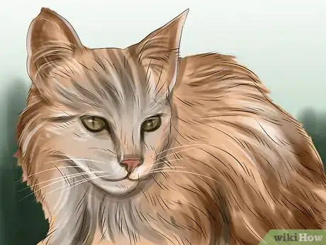 Image titled Diagnose and Treat Vitamin A Toxicity in Cats Step 2