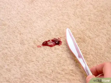 Image titled Remove Jam or Jelly Stains from Carpet Step 1