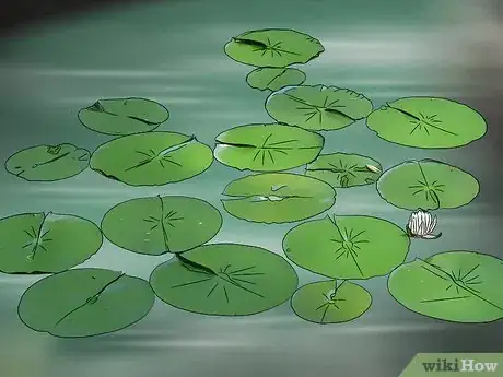 Image titled Control Green Pond Water Problems Step 9