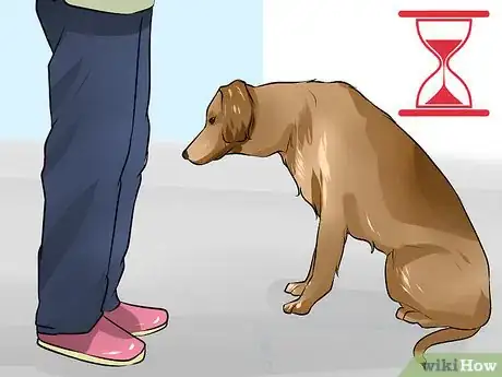 Image titled Care for a Recently Rehomed Dog Step 9