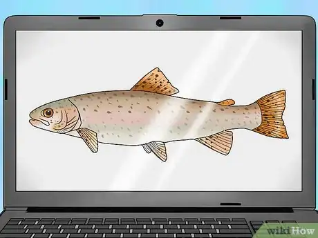 Image titled Fish for Steelhead Step 1