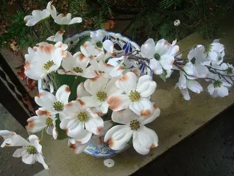 Image titled Dogwoodinvase