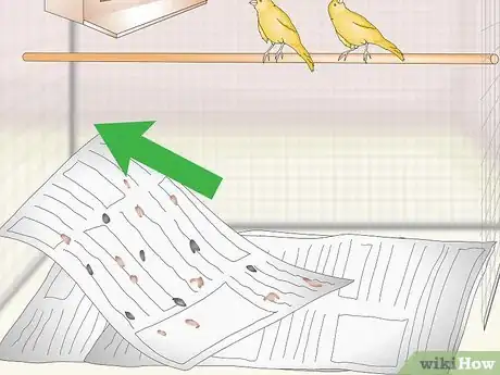 Image titled Clean and Maintain a Canary Habitat Step 12